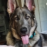 Doug  