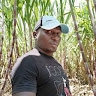 David Omollo