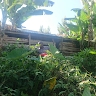 Peace Foundation