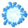 Bilbil Cocaj