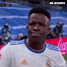 Daniirep 29