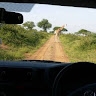 Bundu Richard