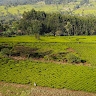 kimtech photography