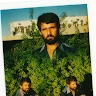 mehemed bajrić