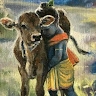 Gokul Krishna