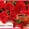 LUBA N