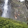 bukenya desire