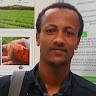 Bekele Gelena