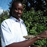 haward atubwa