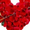 Rose Kaindi
