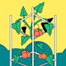 Oaktonagric College
