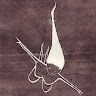 roberta messa