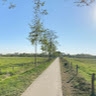 Niek Van Duuren