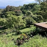 Honopou Ranch