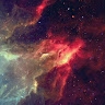 Steven R