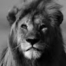 Cynthia Mburu