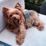 Rusty Mowery
