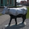 Serg Khot