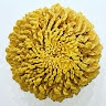 Sculptwax Fine Art LLC  