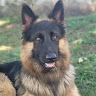 Insoni Ebuntu