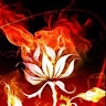 Blazing Rose