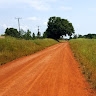 David Bwomono