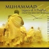 Mohamed M. Komara