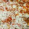 Dječji vrtić Trešnjevka