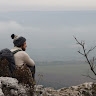 Balázs Fellegi Z.