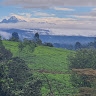 Waruingi  