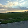 Sheillah Kamang