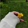 Настя Шадоріна