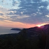 Τζοανα Ζουπα