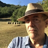 Marino Ollari