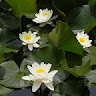 Stephanie Kwei