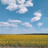 Ольга Басанько