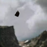 Perch cyro