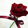 Fathima rose