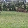 Stephen Omondi