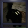 ShadowFang598 Gaming