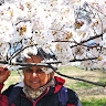 P Gupta