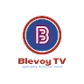 Blevoy TV