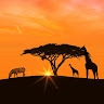 Lorent Kabamba