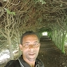 Raphael Miano