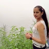monika sharma