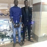 Chol254  