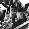 סטערני משי זהב