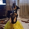Варя Печенюк