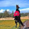 AMINE SERROUF