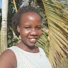apio loyce